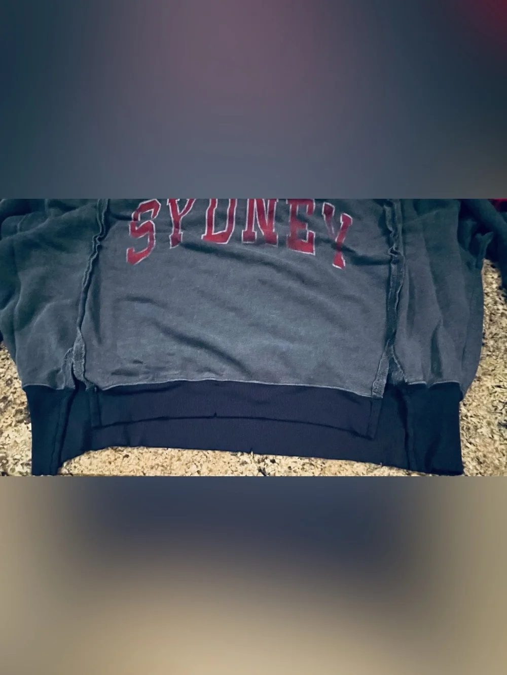 NWT Free People Sydney Graphic Camden Sweatshirt